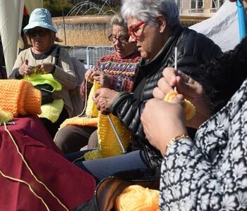 women knitting